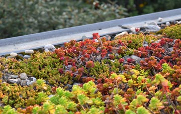 the cost of Westend green roof installation