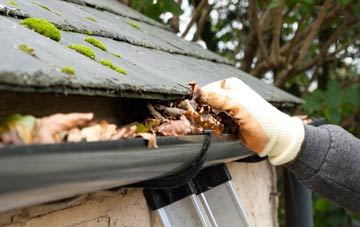 gutter cleaning Westend